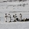 Samling på vidda. Deltakerne kontrollerer at utstyret virker Samling på vidda. Deltakerne kontrollerer at utstyret virker