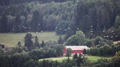 Traneflukt i Meldal - Traneflukt i Meldal