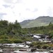 Elv i Forollhogna