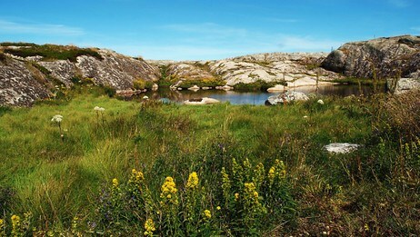 Idyll fra Rorsøya i Halten (Foto: Knut Ø. Steinsheim) Idyll fra Rorsøya i Halten (Foto: Knut Ø. Steinsheim)