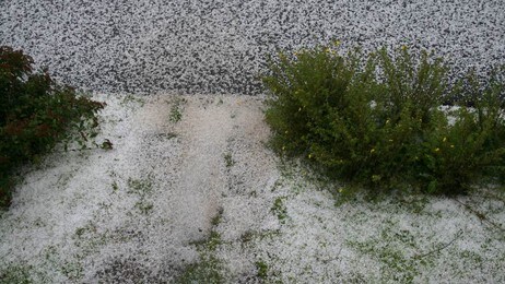 Haglbyger i Moss (Foto: Clarence Johannessen)