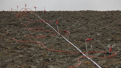 elektroder måler motstanden i bakken (Foto: Caroline Enge/NRK) elektroder måler motstanden i bakken (Foto: Caroline Enge/NRK)