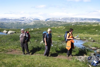 Hallingskarvet i bakgrunnen