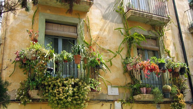 Blomster på balkong i Tarragona Spania (Foto: Mette Stensholt Schau) Blomster på balkong i Tarragona Spania (Foto: Mette Stensholt Schau)