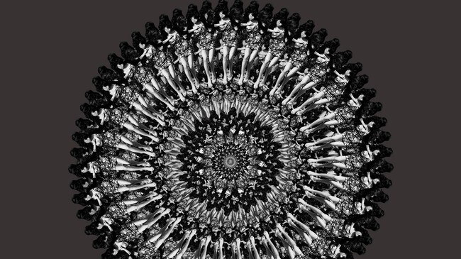 Winehouse Flower I (Foto: Galleri MGM) Winehouse Flower I (Foto: Galleri MGM)