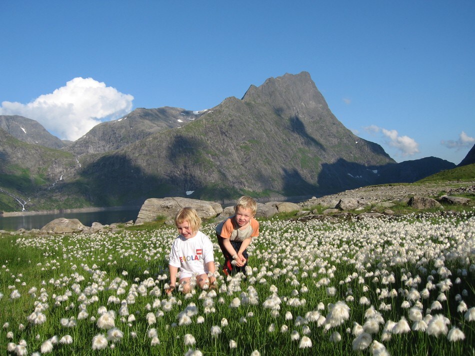 Idyll ved Tyssenaustet