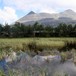 Alvdal Vestfjell