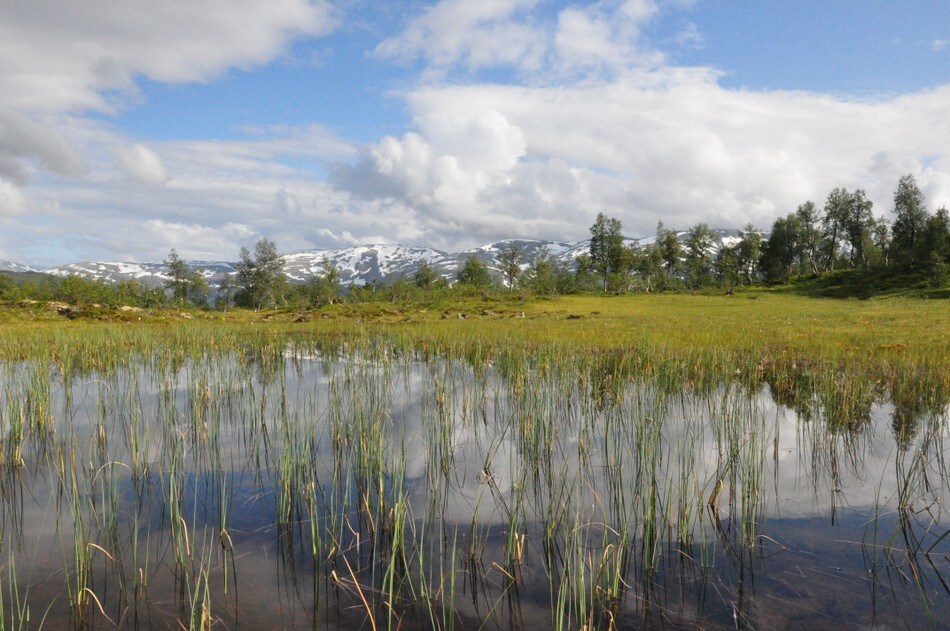 Vatnaset