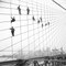 Jobbsikkerhet var et ukjent begrep i New York på begynnelsen av 1900-tallet. Disse arbeiderne jobber usikret med å male Brooklyn Bridge. Bildet er tatt 7. oktober 1914