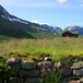 Sommeridyll ved Kljåen i Hemsedal