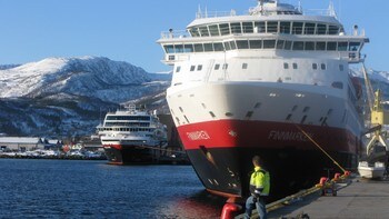 noro forum må ha det noro forum må ha det