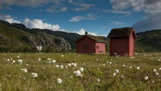 Kvanndalen