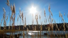 Holmestrand i sommersol (Foto: Ove Jonassen) Holmestrand i sommersol (Foto: Ove Jonassen)