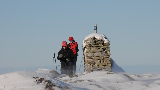 Vidden (Foto: Torill Refsdal Aase)