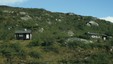 Miniatyrbilde til Arentzbu