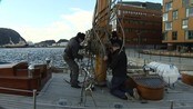 Heisar masta på Wyvern - Ålesundsskuta "Wyvern av Aalesund" skal snart kjempe om topplassering i seilaset Tall Ships Race.
For å nå det målet må ei nyrenovert, 25 meter høg mast på plass.