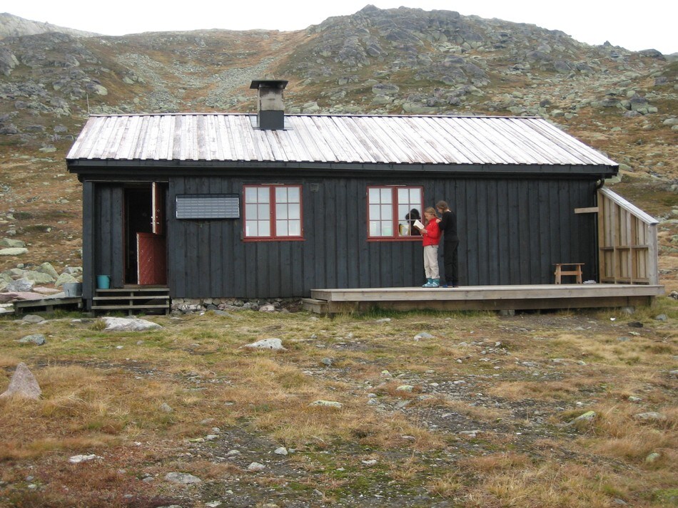 Tjørnbrotbu