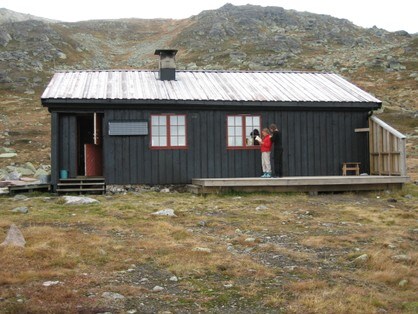 Tjørnbrotbu