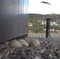 INN FOR LANDING: Tre egg i reiret. I fjor klekket kun ett egg og Tjelling, som ungen ble kalt, ble enebarn.