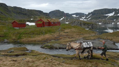 Strandalshytta med hest (Foto: Kjell Helle-Olsen/ Den Norske Turistforening) Strandalshytta med hest (Foto: Kjell Helle-Olsen/ Den Norske Turistforening)