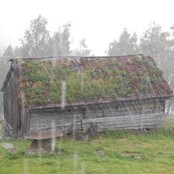 Regn blei det i sommar også (Foto: Oddveig Gjengedal) Regn blei det i sommar også (Foto: Oddveig Gjengedal)