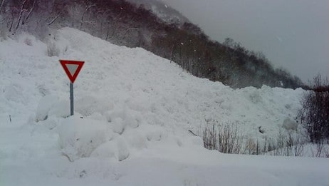 Snøskred i Sunndal (Foto: Øyvind Johan Heggstad)