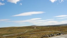 Tinnhølsvegen