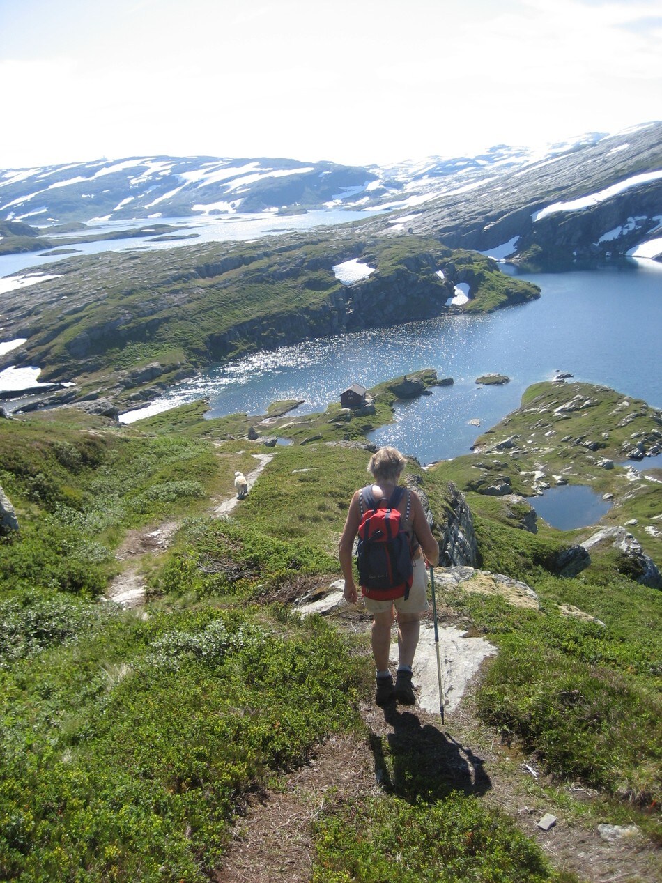 Volahytta