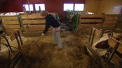 - Kan ikke satse på færre bruk - I Løten holder Hilde Mellum på å kjøre ut mat til dyrene som fortsatt er ute i den milde vinteren. Hun overtok gården etter sin far for 13 år siden. Hun er spent på hva politikerne vil med landbruket.
