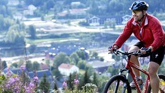 Turen om Smørmyråsen går delvis på fredelig skogsbilvei med lite trafikk.