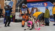 Harald Tunheim (Foto: Torill Ustad Stav)