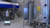 Lukteproblem - Naboene til fabrikken Hofseth Biocare klager på lukt fra fabrikken. 