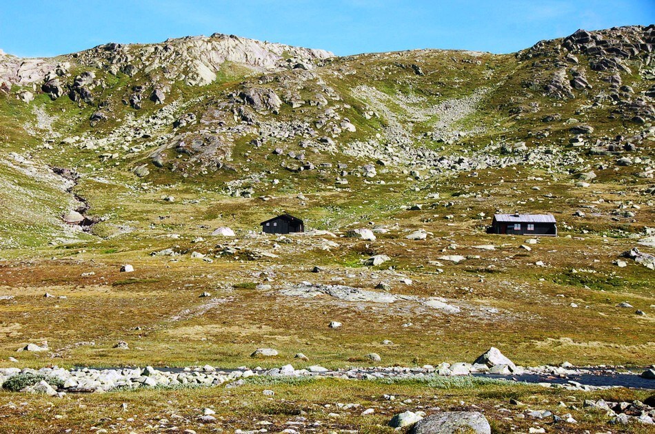 Tjørnbrotbu