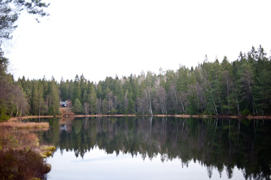 Det ligger to hytter like ved idylliske Lauvtjern. En privathytte og en speiderhytte.