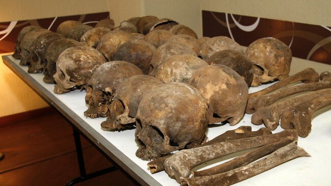 Hovudskallar som kan daterast 1300 år bak i tid (Ap) Hovudskallar som kan daterast 1300 år bak i tid (Ap)
