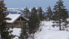 Sveinsbu