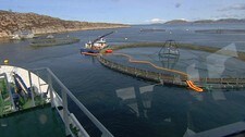 Marine Harvest Osen (Foto: Frank Almås/NRK) Marine Harvest Osen (Foto: Frank Almås/NRK)