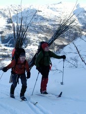 Kvisting i Lid (Foto: Bergen Turlag)