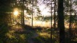 Høstlig kveldssol. Foto: Steinar Østli