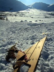 Snøskred på Gjesdalsstøylen. (Foto: Anne Cecilie Kapstad) Snøskred på Gjesdalsstøylen. (Foto: Anne Cecilie Kapstad)