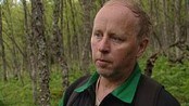 Rovdyrtap i Oppland - Det har aldri blitt registrert så mange rovdyrtap i Oppland så tidlig på sommeren. 