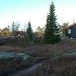 Selsli
