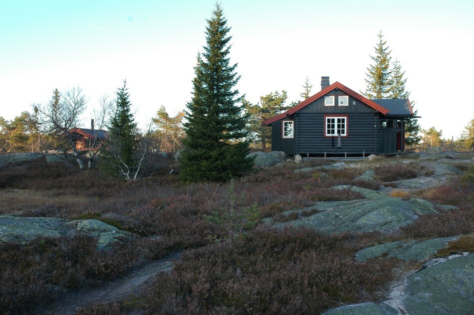 Selsli