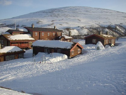 Bjørnhollia