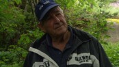 Trær til besvær - Noen har forsøkt å drepe trærne hans med gift, fordi det vil gi bedre utsikt. Det  mener en grunneier på Papper på Hvaler. Han har oppdaget borehull i noen høye trær på eiendommen sin, og har meldt saken til politiet

