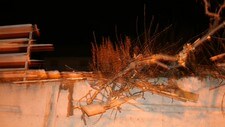 Gjerde øydelagd av stein (Foto: Ole Ramshus Sælthun/NRK)