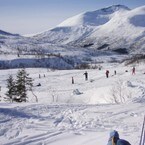 Fokhaugstova