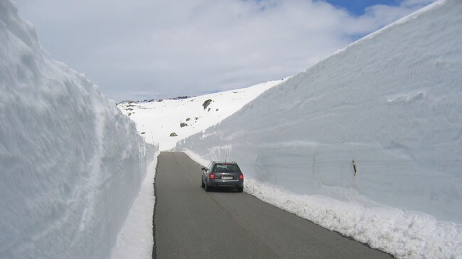 Snø (Foto: Gunnar Lier, Lier, Gunnar) Snø (Foto: Gunnar Lier, Lier, Gunnar)