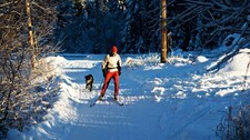 På ski (Foto: Marius Nergård Pettersen) På ski (Foto: Marius Nergård Pettersen)