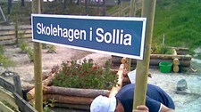 Kunst i Sollia (NRK) Kunst i Sollia (NRK)